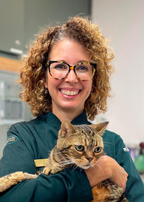 ABFEL -  Academia Brasileira de Clínicos de Felinos